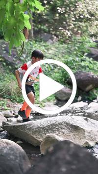 BIB:  <button type="button" onclick="openModal(28057197)" class="btn btn-primary btn-sm float-right" data-toggle="modal" data-target=".modal-high-quality">
                <i class="fa fa-download"></i> Download
                </button>